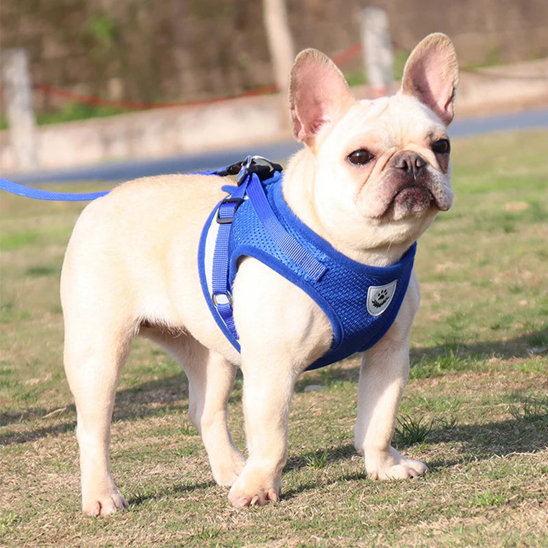 Odblaskowy zestaw uprzęży i smyczy dla psów i kotów, idealny dla małych i średnich ras, np. Chihuahua, Mops.