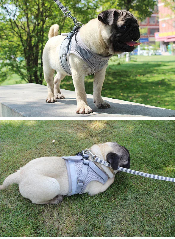 Odblaskowy zestaw uprzęży i smyczy dla psów i kotów, idealny dla małych i średnich ras, np. Chihuahua, Mops.