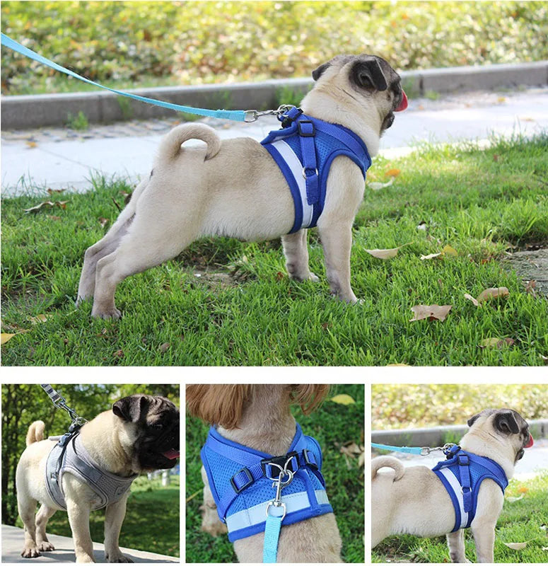 Odblaskowy zestaw uprzęży i smyczy dla psów i kotów, idealny dla małych i średnich ras, np. Chihuahua, Mops.