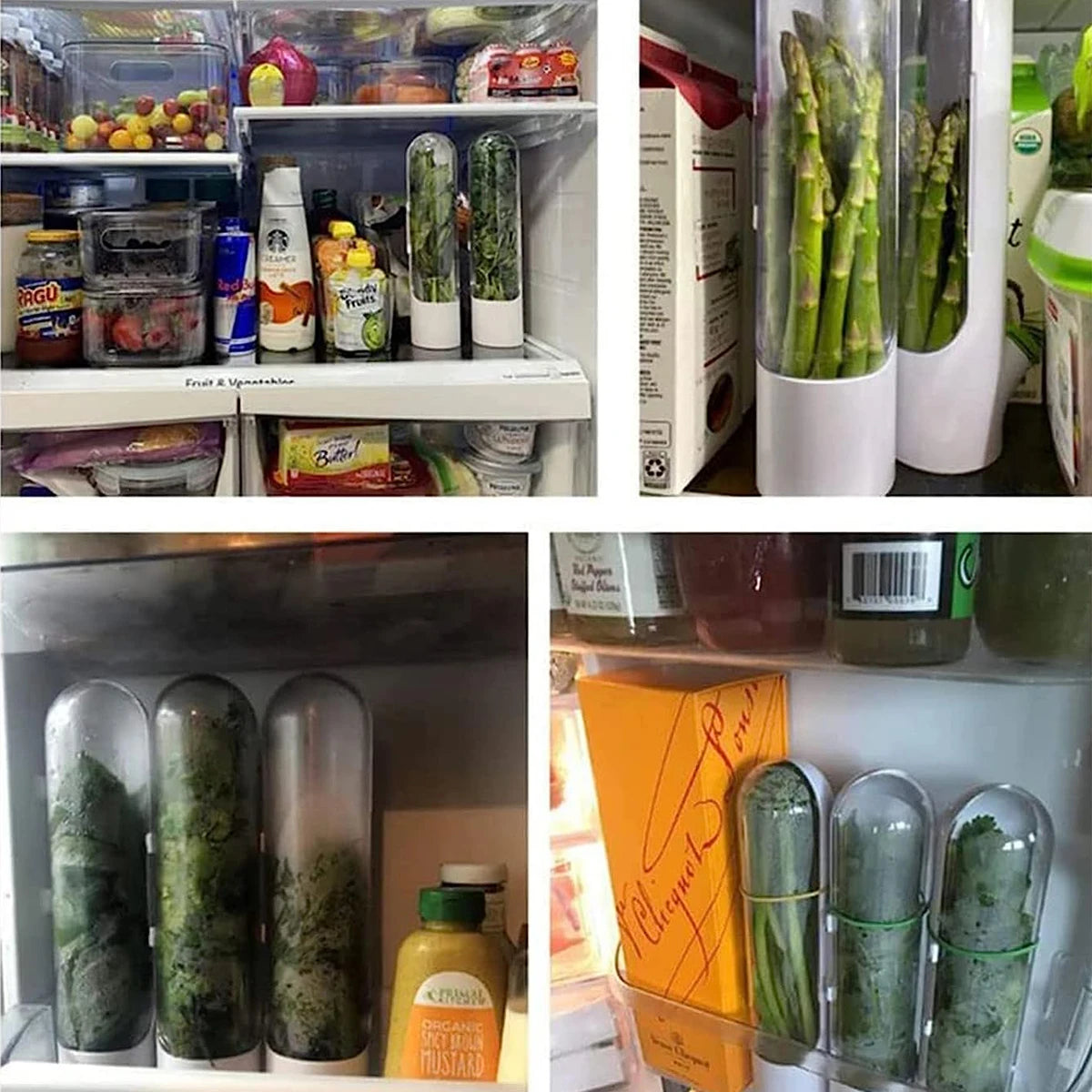 Pojemnik do przechowywania świeżych ziół – Herb Saver Fresh Keeper