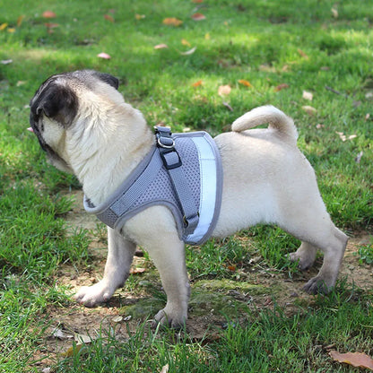 Odblaskowy zestaw uprzęży i smyczy dla psów i kotów, idealny dla małych i średnich ras, np. Chihuahua, Mops.