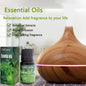 Odświeżacz powietrza 10 ml – Naturalny olejek eteryczny z roślin, aromaterapia, uzupełnienie do perfum do klimatyzacji, dyfuzor zapachowy, nawilżacz powietrza.